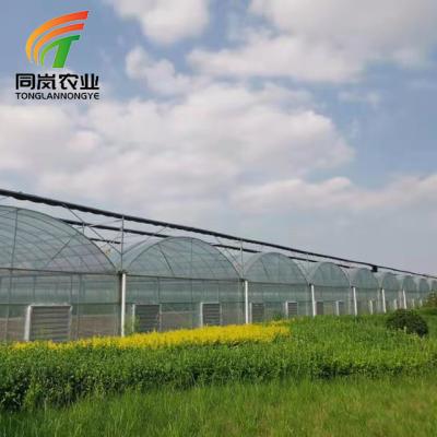 China Stable Structure Easily Assembled Commercial And Agriculture Scatter Plastic Multi Span Film Green House With Electric Heating for sale