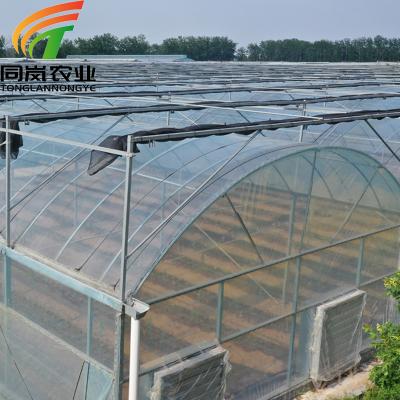 China Stable structure easily assembled factory direct supply agriculture and commercial greenhouse plastic sheet greenhouse for sale for sale