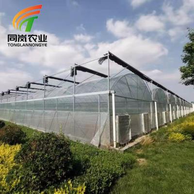 China Stable Structure Easily Assembled Farm Greenhouses Hydroponic Greenhouse Tunnels Hobby Greenhouse Irrigation Systems for sale