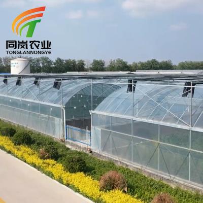 China Stable Structure Easily Collected Manufacturer Outdoor Indoor Mini Small Plastic Sheet Foil Cover Tomato Mushroom Cultivating Garden Greenhouse Used For Blackout for sale