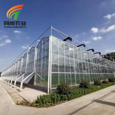 China Stable Structure Easily Assembled Sale Cheapgreenhouse Framegreenhouse Tomato Mushroom Glass Greenhouse For Agricultural Industrial for sale