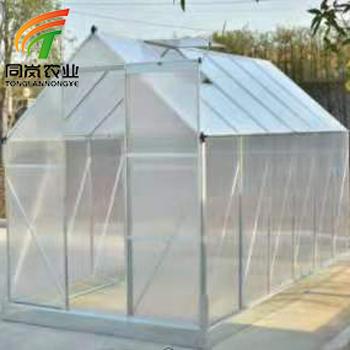 China Stable Structure Easily Assembled Tonglan Low Cost Mini PC Garden Greenhouse With Polycarbonate Plastic Sheeting for sale