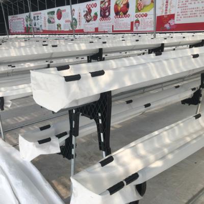 China Easily Assembled Stable Structure Conserves Water Greenhouse A Form Multi-Layers Strawberry Vertical Growing Shelf Maximizes Space Generates Greater Yields for sale