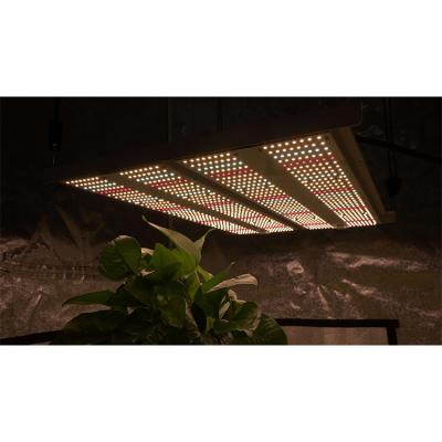 China Seed Seed Planting Wholesale Hydroponic Grow Lights For Indoor Plants Full Spectrum , Horticulture Led Grow Light 2021 for sale