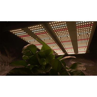 China Seed Starting Wholesale 2021 240W 480W Quantom Hydroponic Full Spectrum Led Plant For Growing Light for sale