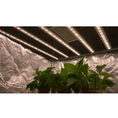 China Seed Starting Customization Full Spectrum Led Grow Light Greenhouse , Hydroponic Grow Light Led Lights Sale Farmer for sale