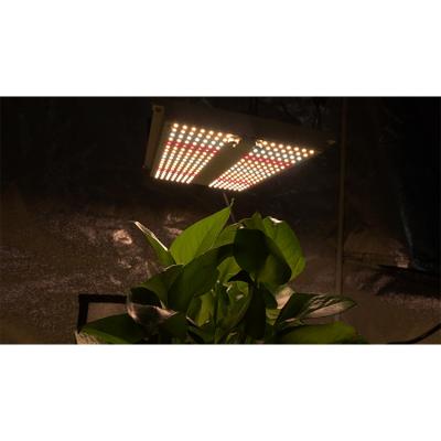 China Seed Starting Wholesale Hydroponic Full Spectrum Us To Warehouse Hydroponic Led 100W 120W 240W 480W Grow Light for sale