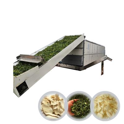 China High Efficiency Automatic Machine For Drying Industrial Fruit Food Drying Machine for sale