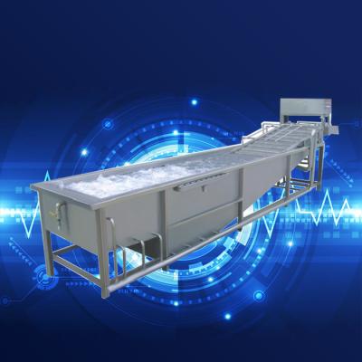 China Hotels Apple Washing Onion Washing Potato Washing Machine for sale