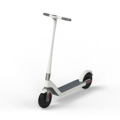 China Hot Sale Unisex Adult Disc Brakes 9.6ah Rear Folding Imported Battery Electric Scooter for sale