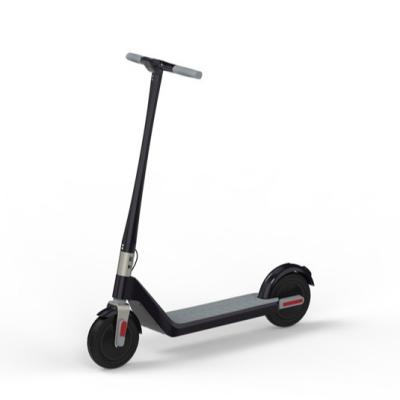 China Factory Price Unisex 8.5 Inch Big Power Single Motor 36v 250w Adult Electric Scooter for sale