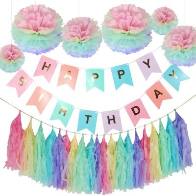 China 2021 Wholesale Party Supplies Birthday Paper Fancy Decoration Set Tassel Garland Swallowtail Banner Pom Poms Big Size for sale