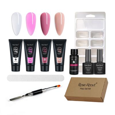 China Rose About Professional Private Label Acrylic Nail Start Set Poly Gel Nail Extension Gel Kit 609 for sale