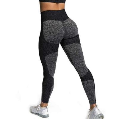 China Breathable Sports Gym Fitness Yoga Pants Workout Clothes Seamless High Waist Gym Sport Sets For Women Gaiters For Women Butt Lift Set for sale