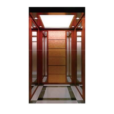 China Residential Elevators Modern Prices Home And Villa Elevator For Villas en venta