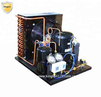 China Hotels 1hp Tecumseh Condensing Unit, Small Condensing Unit, 1hp Refrigeration Condensing Unit for sale