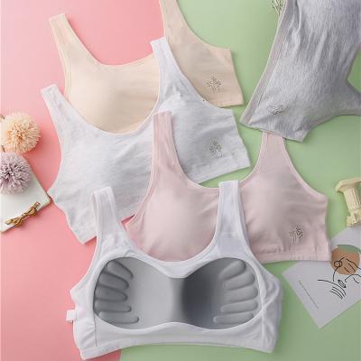 China QUICK DRY Classic Breathable Light Color Teen Bra Stretch Ladies Seamless Liner Comfortable Design Bra for sale