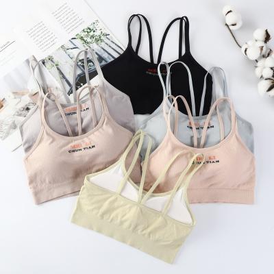 China Hot Sale QUICK DRY Adult Ladies Cotton Printing Shorts Antibacterial Bra Tops Beauty Back Yoga Sports Bra for sale