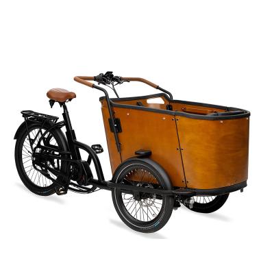 China Large Capacity Electric Cargo Family Tricycle Electric Cargo Tricycle Cargo Bike For Sale for sale