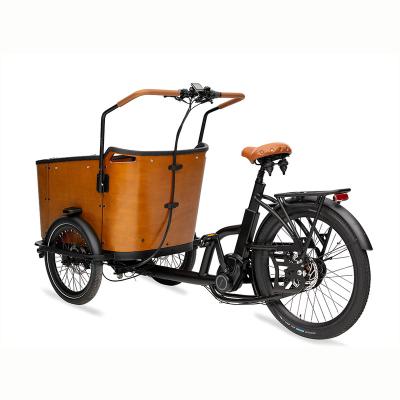 China 2022 Best Electric Cargo Bike Electric Cargo Bike Lithium Battery Electric Cargo Tricycle for sale