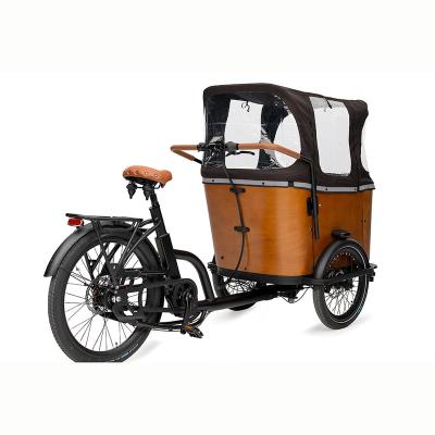 China China 3 Wheel Electric Cargo Bike Chinese Electric Cargo Bike Danish Style Cargo Bike For Sale for sale