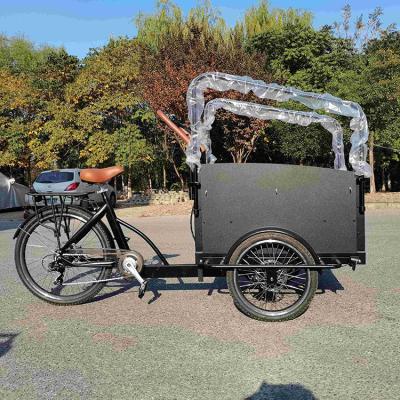 China Electric Useful Cargo Three Wheel Cargo Scooter Life Tricycle Cargo Bike for sale