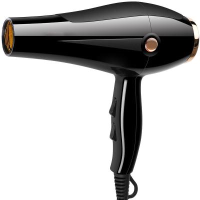 China Professional Salon Blow Reverse Negative Ion Hair Dryer Mini One Step Ionic Portable Hair Dryer Wall Mounted Stand for sale