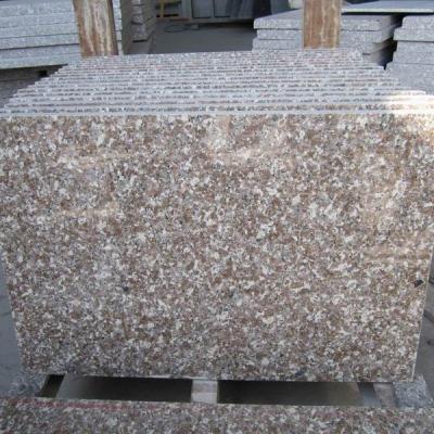 China Modern Outdoor Granite Paver for China Patio Paver Basement. for sale