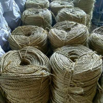 China 100% sisal fiber sisal fiber for sisal rope/hemp rope/manila rope for sale