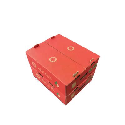 China Custom Materials Apple Cherry Strawberry Strawberry Tomato Watermelon Strawberry Watermelon Gift Box Manufacturer Recycled Orange Packing Boxes for sale