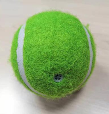 China Wholesale Hot Sale Colorful Pet Training Toys High Quality Ball Viable for sale