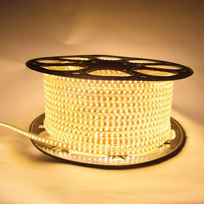 China Warehouse AC 220V 3014 led 120leds 240leds 10mm waterproof flexible led strip light rope light guide outdoor led christmas lights à venda