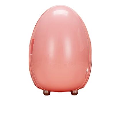 China New China-chic 10L Mini Portable Mini Skin Care Refrigerator Mini Fridge Makeup Small Portable Cosmetic Skin Care Refrigerator for sale