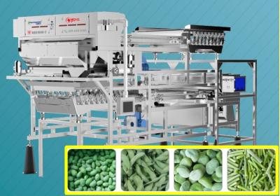 China Frozen Edamame Vicia Faba Color Sorter Remote Control Belt Type for sale