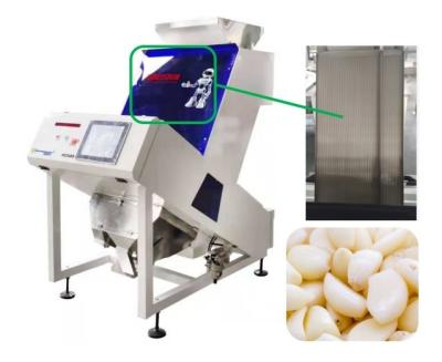 China Accurate Recognition Garlic Color Sorter 0.6-1.2 t/h High Speed Sorting Machine for sale