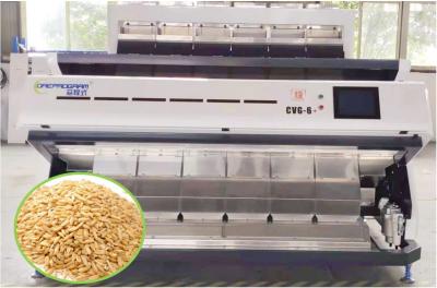 China 384 Channels Infrared Sorting Machine 3-6 T/H 4.2kw 1752Kg 1 Year Warranty for sale