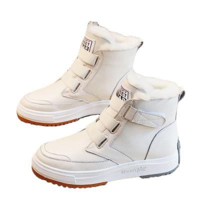 China Fashion Trend Women Winter Shoes Women Snow Boots Waterproof Platform Keep Warm Winter Ankle Boots With Thick Heels Botas Mujer 2021 Fur for sale