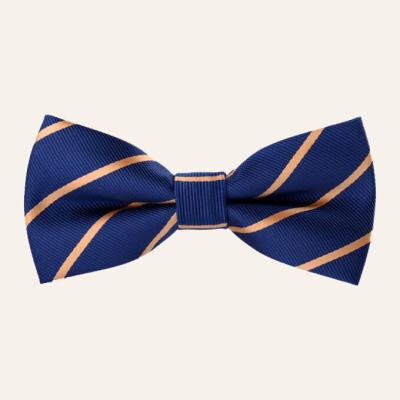 China Dobby color blue stripe silk bow tie for sale