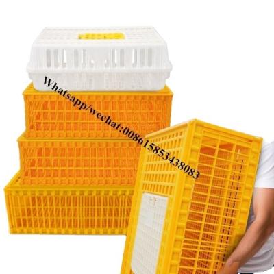 China pp factory price live chicken transport cage/plastic transport crate/poultry chicken transfer crates with blank material for sale