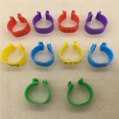 China Chicken Foot Viable Animal Tracking Ring for sale