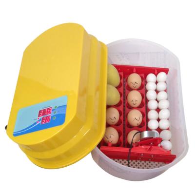 China Chicken Capacity 12 Mini Egg Incubator WQ-12 for sale