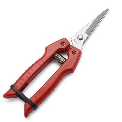 China Anti-Slip Handle Cheap Fruit Picking Shears Garden Scissors for sale