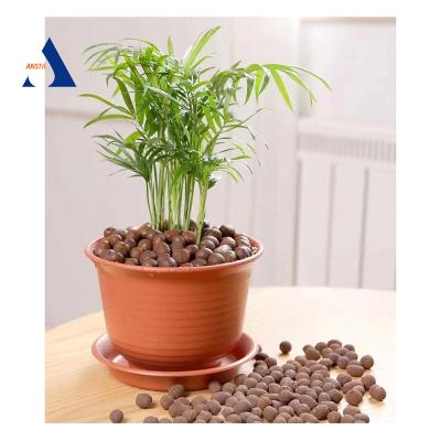 China Horticulture LECA Balls China Manufacturer Competitive Prices for sale