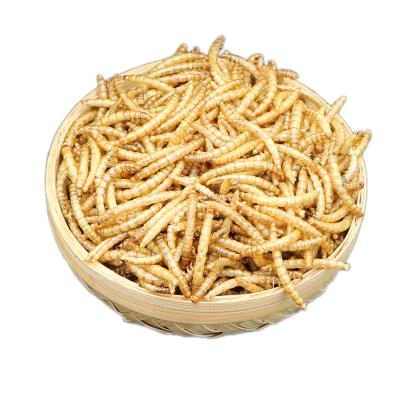 China Dried Bread Viable Worm Snacks My Neighbor Totoro Guinea Pig Feed Turtle Food Mealworm Dried Hamster Food for sale