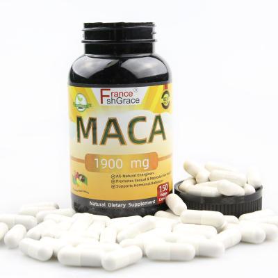 China Supplying maca energy wholesale and retail supplying chinese energymaca powder herbal medicine maca capsule for sale