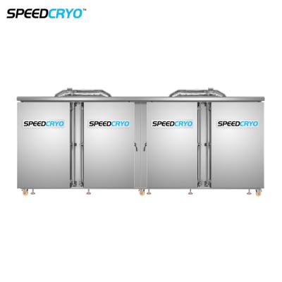 China One Year Warranty IQF Liquid Nitrogen Large Freezer Energy Saving Industrial Deep Freezers for sale