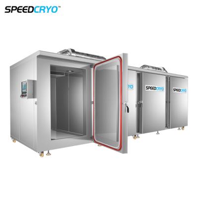 China Liquid Nitrogen Cryogenic Cabinet IQF Freezer Machine Industrial Blast Freezer Ultra Fast Freezing Freezer Equipment for sale