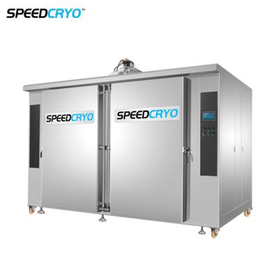 China Seafood Liquid Nitrogen IQF Quick Cabinet Freezer Machine Shrimp Freezing Shock Freezer Equipment zu verkaufen