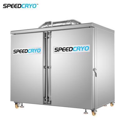 China Industrial Quick Liquid Nitrogen Freezer IQF Instant With Two Doors 120/80/60 Trays for sale