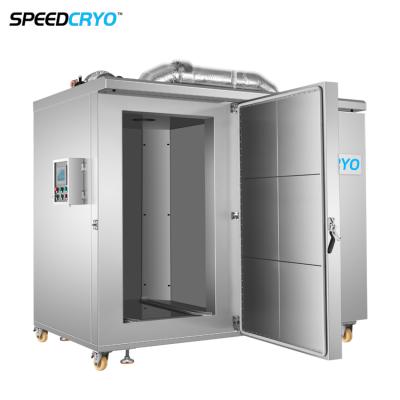 Cina 1000kg Hour Cryogenic Cabinet IQF Shrimp Frozen Machine Equipment Block Quick Lobster Blast Freezer For Fish and Meat in vendita